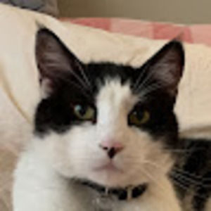 Meet your Posher, Evan